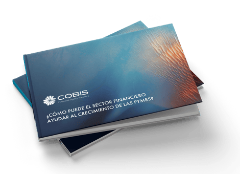 cover-ebook3